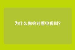 为什么狗会对着电视叫？