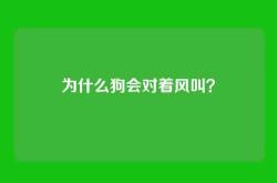 为什么狗会对着风叫？