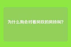 为什么狗会对着风吹的风铃叫？