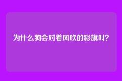 为什么狗会对着风吹的彩旗叫？