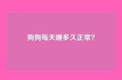 狗狗每天睡多久正常？