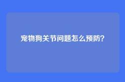 宠物狗关节问题怎么预防？