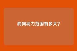 狗狗视力范围有多大？
