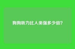 狗狗听力比人类强多少倍？