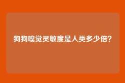 狗狗嗅觉灵敏度是人类多少倍？