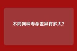 不同狗种寿命差异有多大？