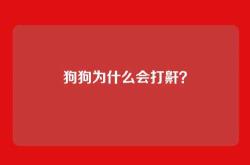狗狗为什么会打鼾？