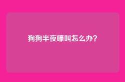 狗狗半夜嚎叫怎么办？