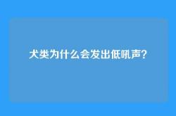 犬类为什么会发出低吼声？