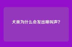 犬类为什么会发出嗥叫声？