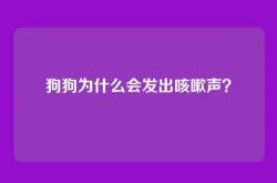 狗狗为什么会发出咳嗽声？