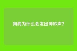 狗狗为什么会发出呻吟声？