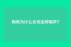 狗狗为什么会发出哼唧声？