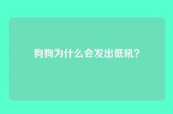 狗狗为什么会发出低吼？