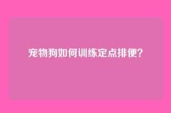 宠物狗如何训练定点排便？