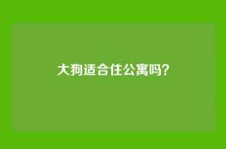 大狗适合住公寓吗？