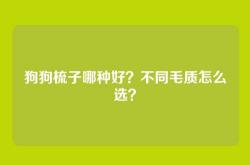 狗狗梳子哪种好？不同毛质怎么选？