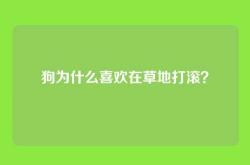 狗为什么喜欢在草地打滚？