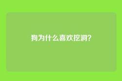 狗为什么喜欢挖洞？
