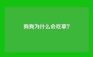 狗狗为什么会吃草？