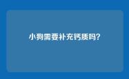 小狗需要补充钙质吗？