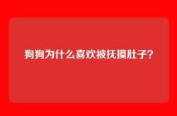 狗狗为什么喜欢被抚摸肚子？