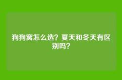 狗狗窝怎么选？夏天和冬天有区别吗？