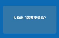 大狗出门需要牵绳吗？