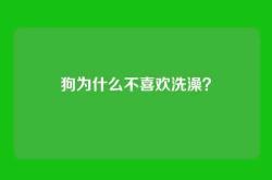 狗为什么不喜欢洗澡？