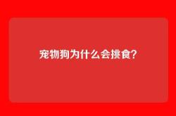 宠物狗为什么会挑食？