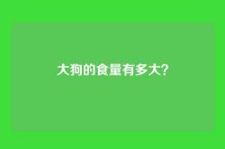 大狗的食量有多大？
