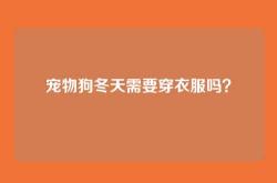 宠物狗冬天需要穿衣服吗？