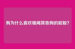 狗为什么喜欢嗅闻其他狗的屁股？