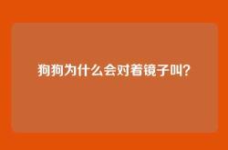 狗狗为什么会对着镜子叫？