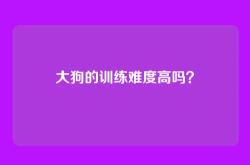 大狗的训练难度高吗？