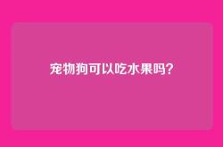 宠物狗可以吃水果吗？