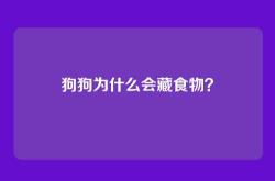 狗狗为什么会藏食物？