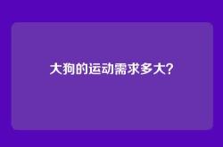 大狗的运动需求多大？