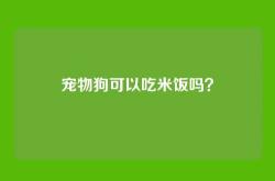 宠物狗可以吃米饭吗？