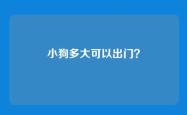 小狗多大可以出门？