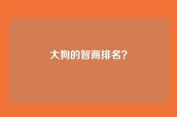 大狗的智商排名？