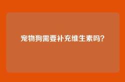宠物狗需要补充维生素吗？