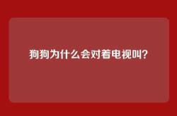 狗狗为什么会对着电视叫？