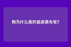 狗为什么喜欢追逐激光笔？