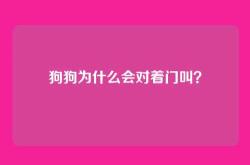 狗狗为什么会对着门叫？
