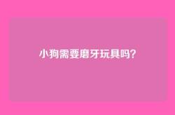 小狗需要磨牙玩具吗？