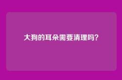 大狗的耳朵需要清理吗？