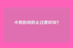 小狗如何防止过度吠叫？