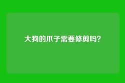 大狗的爪子需要修剪吗？