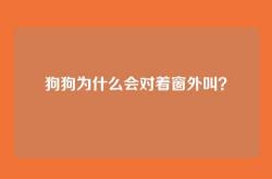 狗狗为什么会对着窗外叫？
